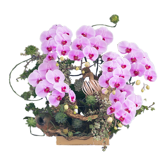 Theo dõi và cập nhật tin tức mới nhất