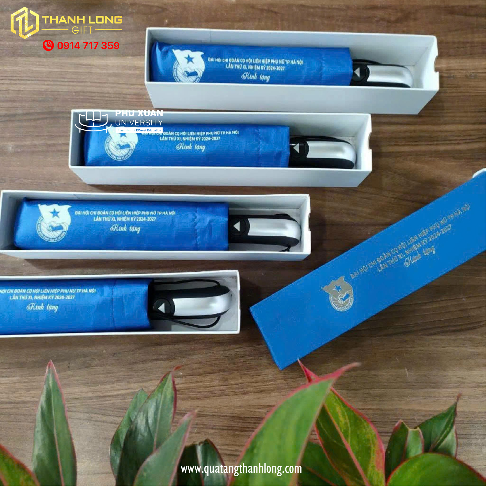 Hộp đựng dù cầm tay in logo theo yêu cầu