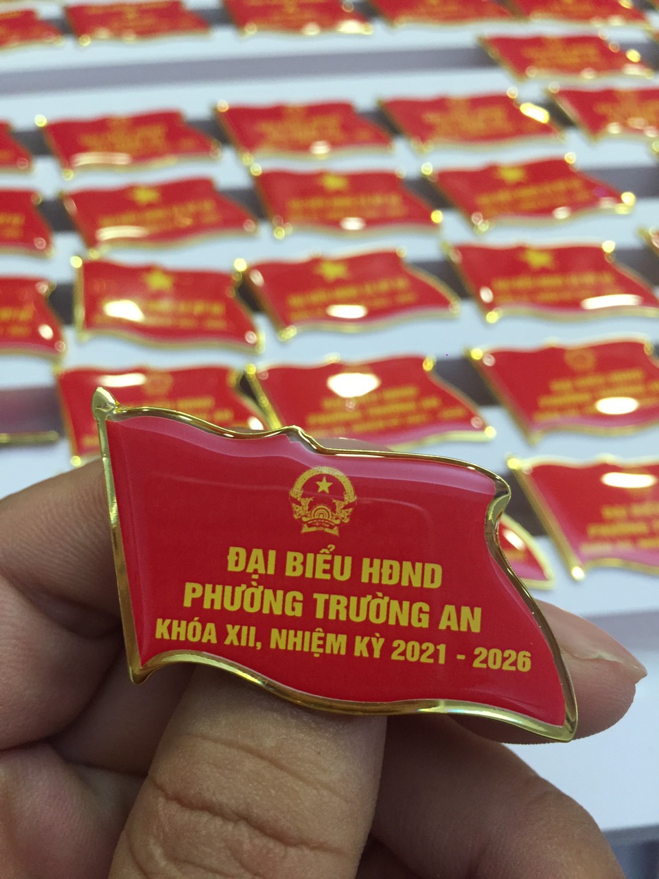 Huy hiệu lá cờ Đại Hội