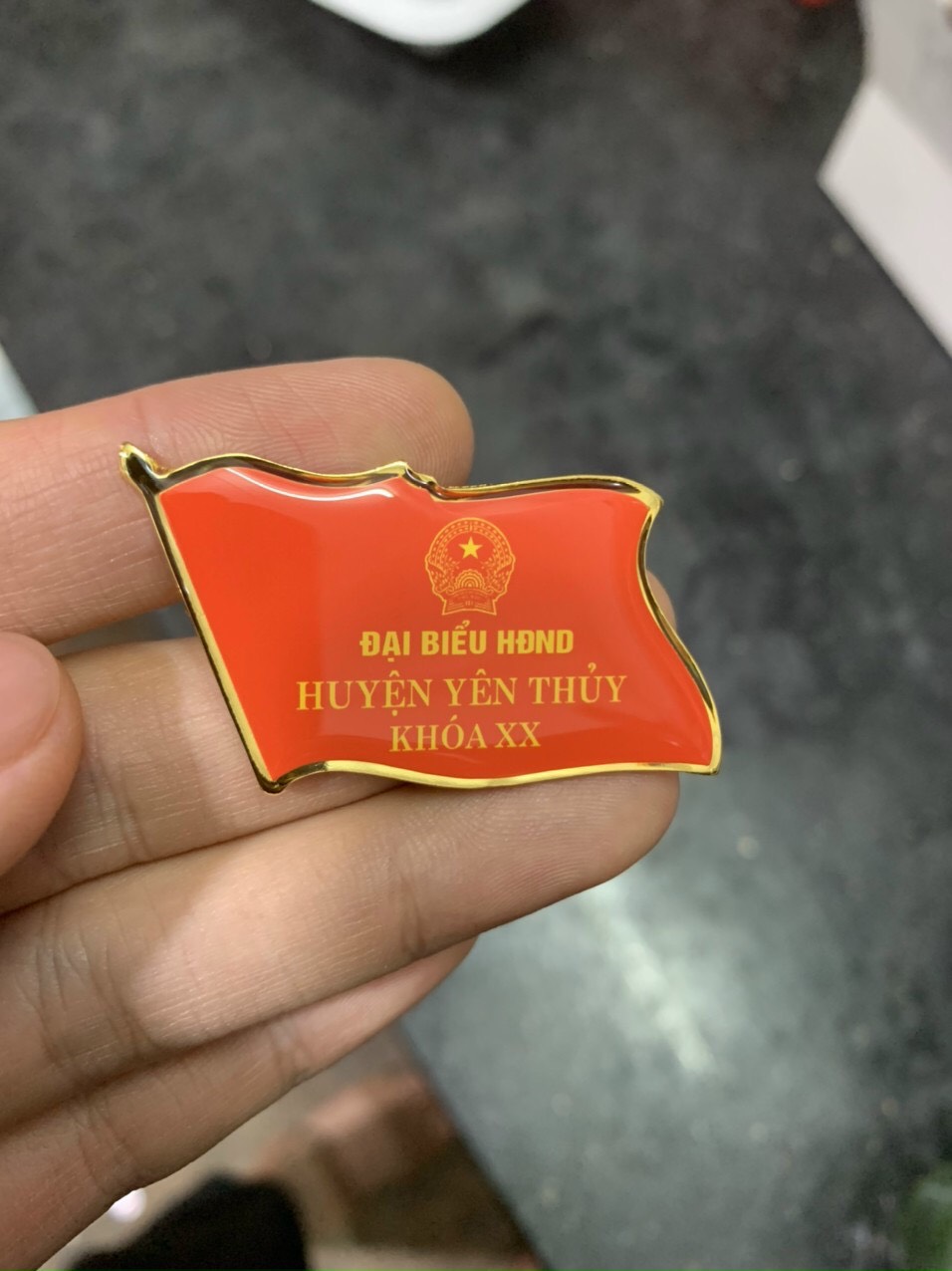 Huy hiệu lá cờ Đại Hội
