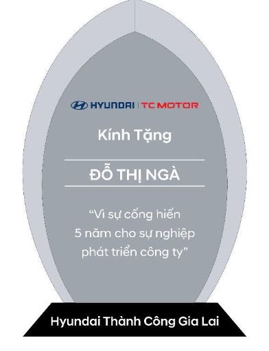 Kỷ niêm chương Huynhdai thủy tinh