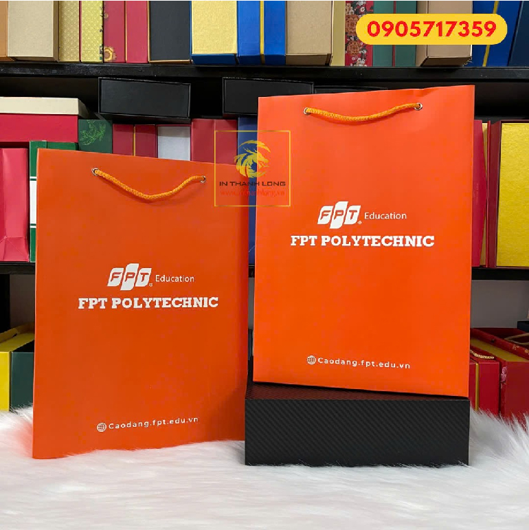 Túi Giấy In logo FPT