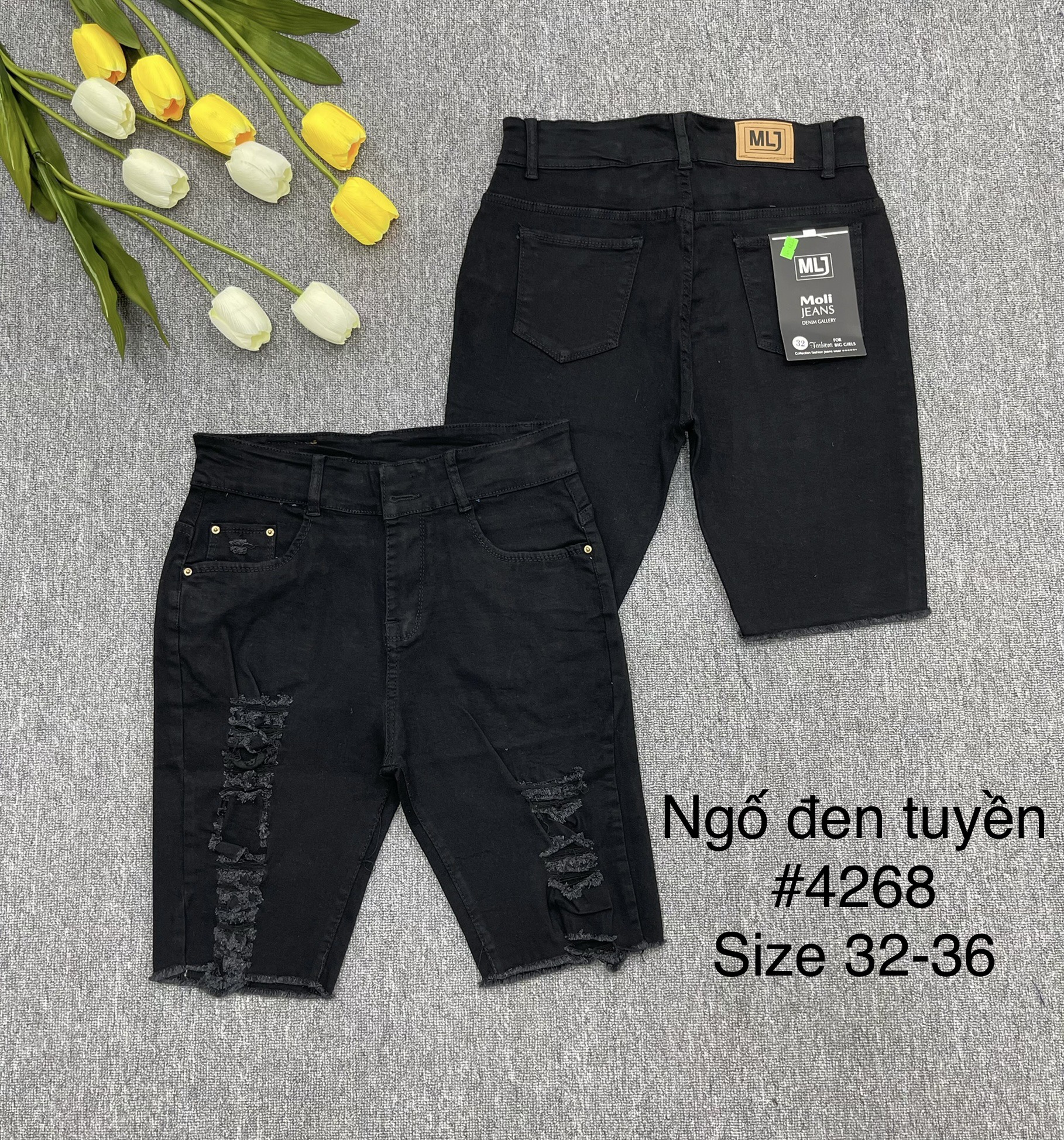 NGỐ ĐEN RÁCH 4268