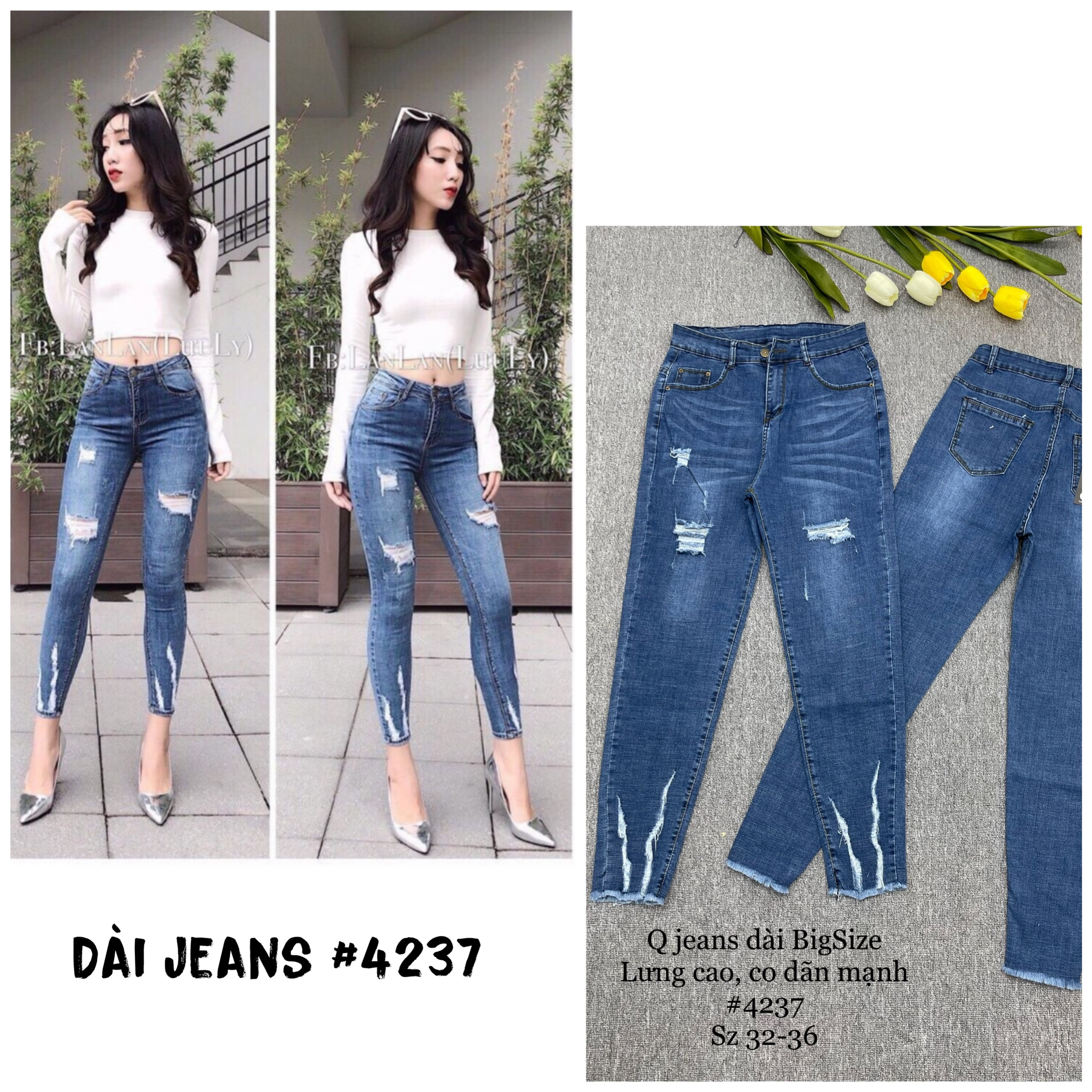 Q DÀI X.ĐẬM RÁCH 4237