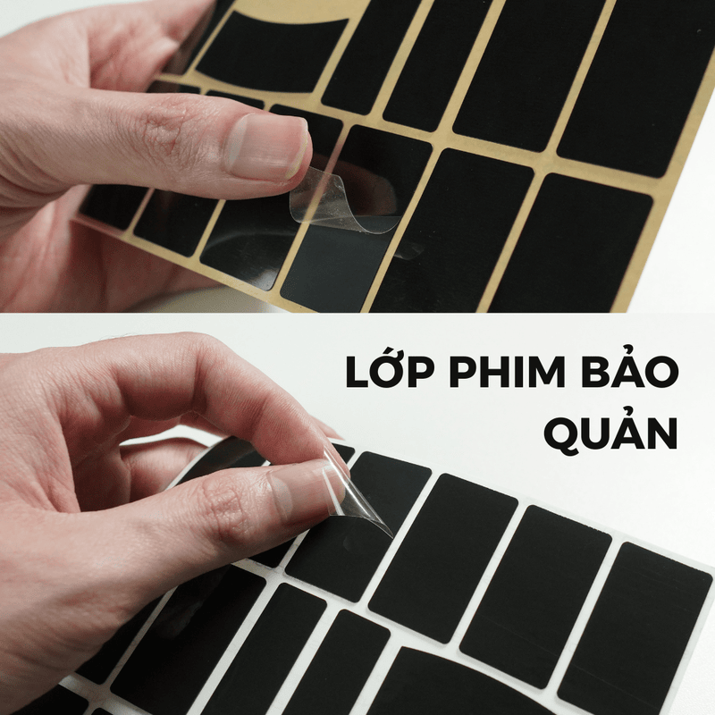 Lớp phim bảo quản trên miếng dán grip Pygora Earth