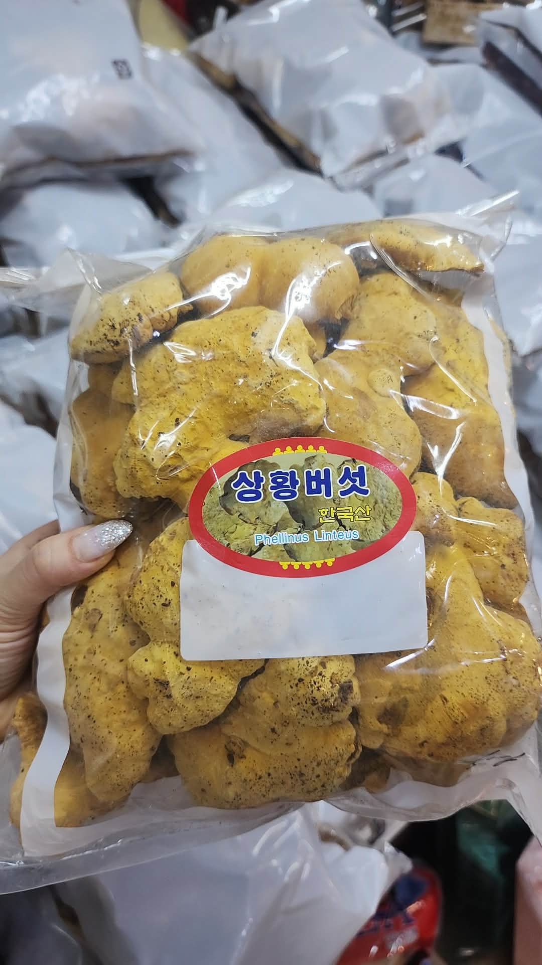 Nấm thượng hoàng loại A- 500g