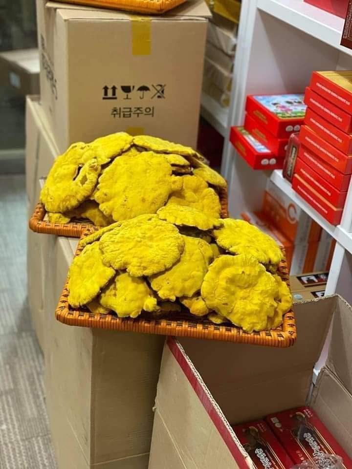 Nấm thượng hoàng loại A