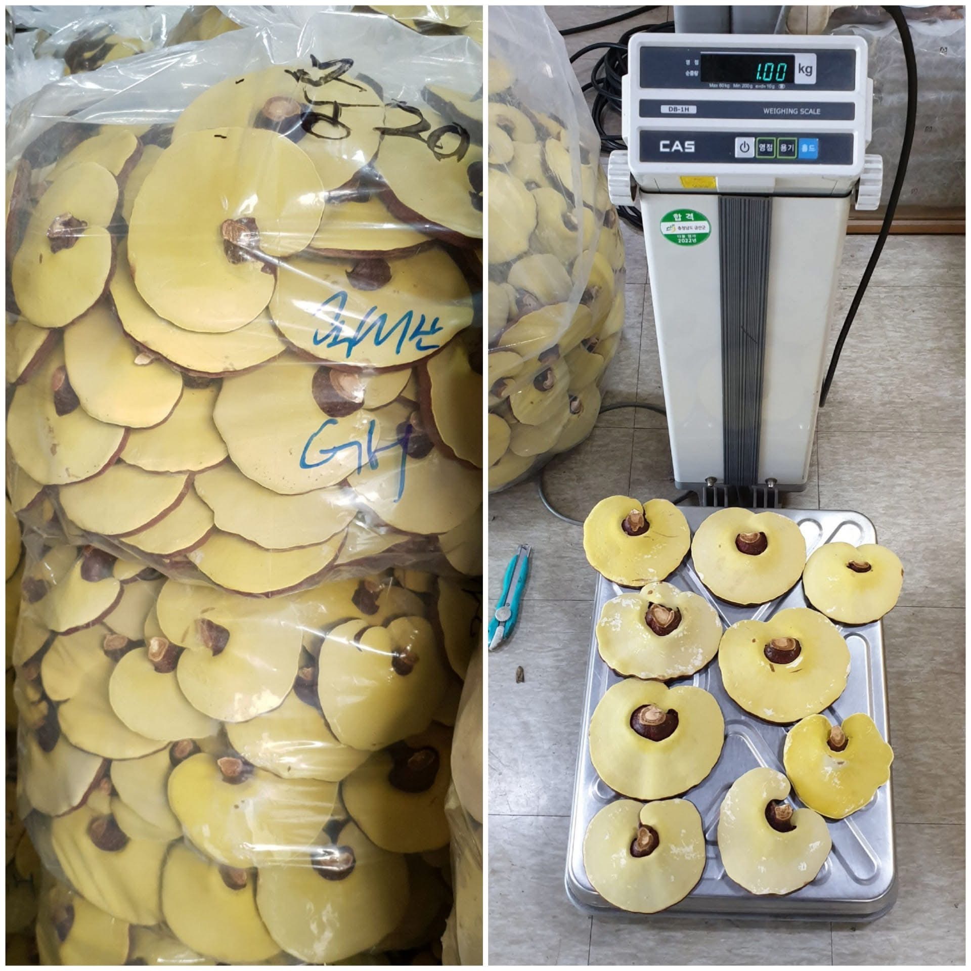 NẤM LINH CHI 500g