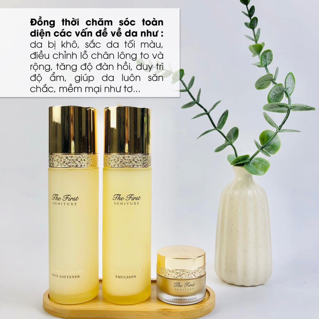 Set ohui the fist tái sinh 3sp