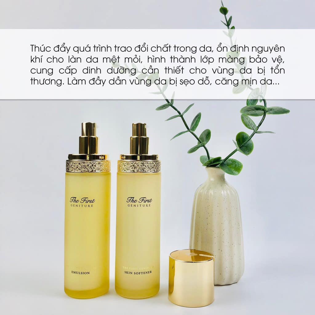 Set ohui the fist tái sinh 3sp