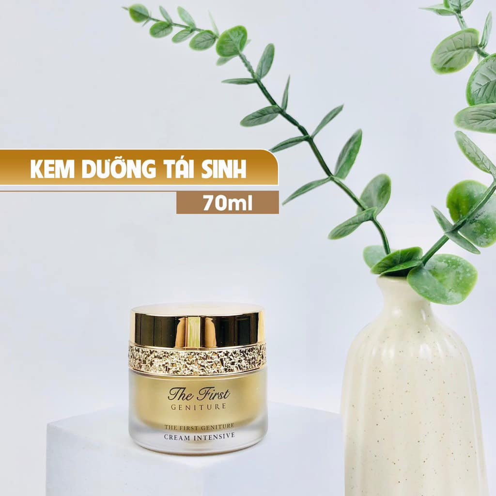 Set ohui the fist tái sinh 3sp