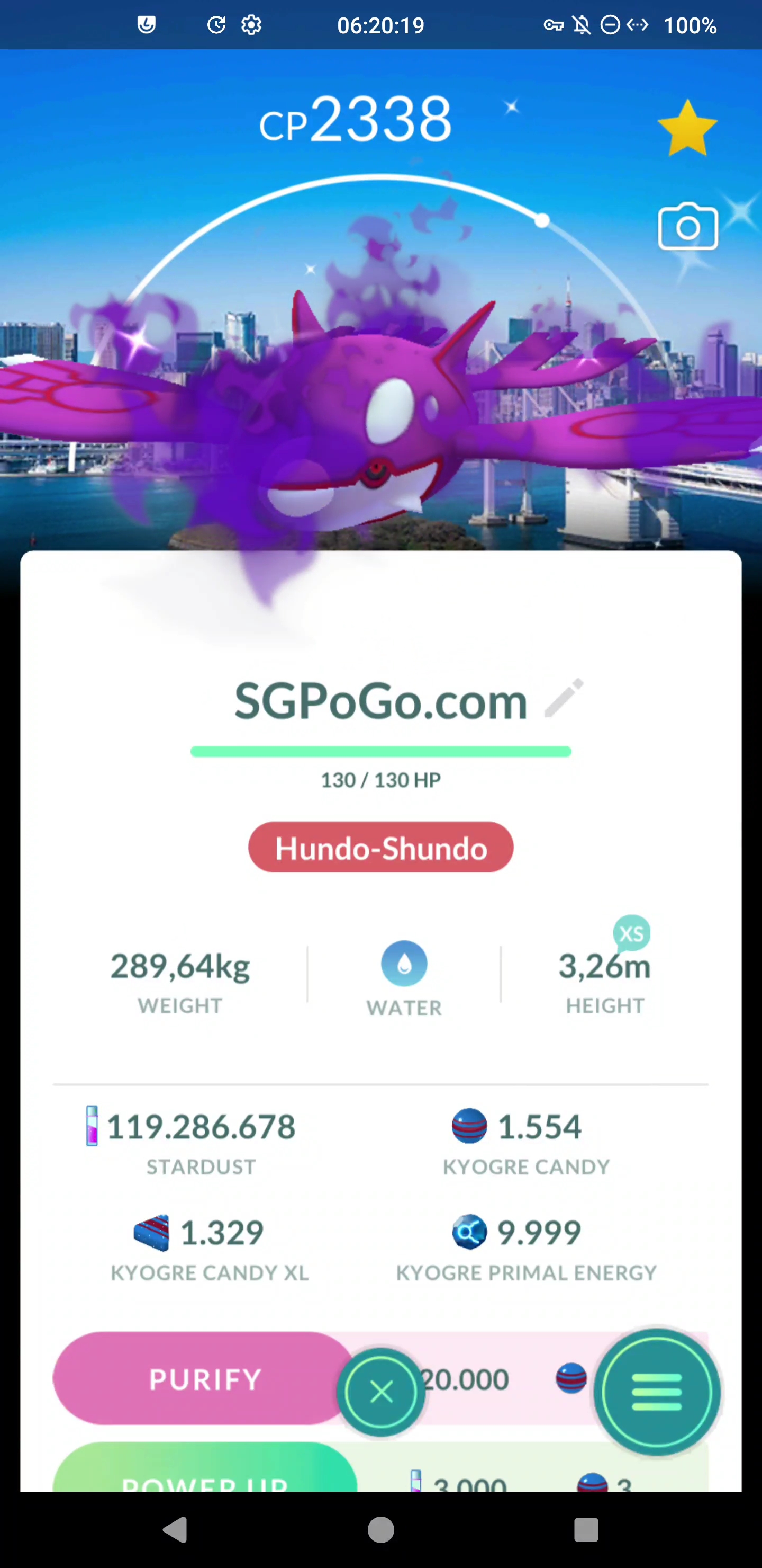 ✨Shiny shadow Groudon & Kyogre Chicago Background✨Go Fest 2026✨