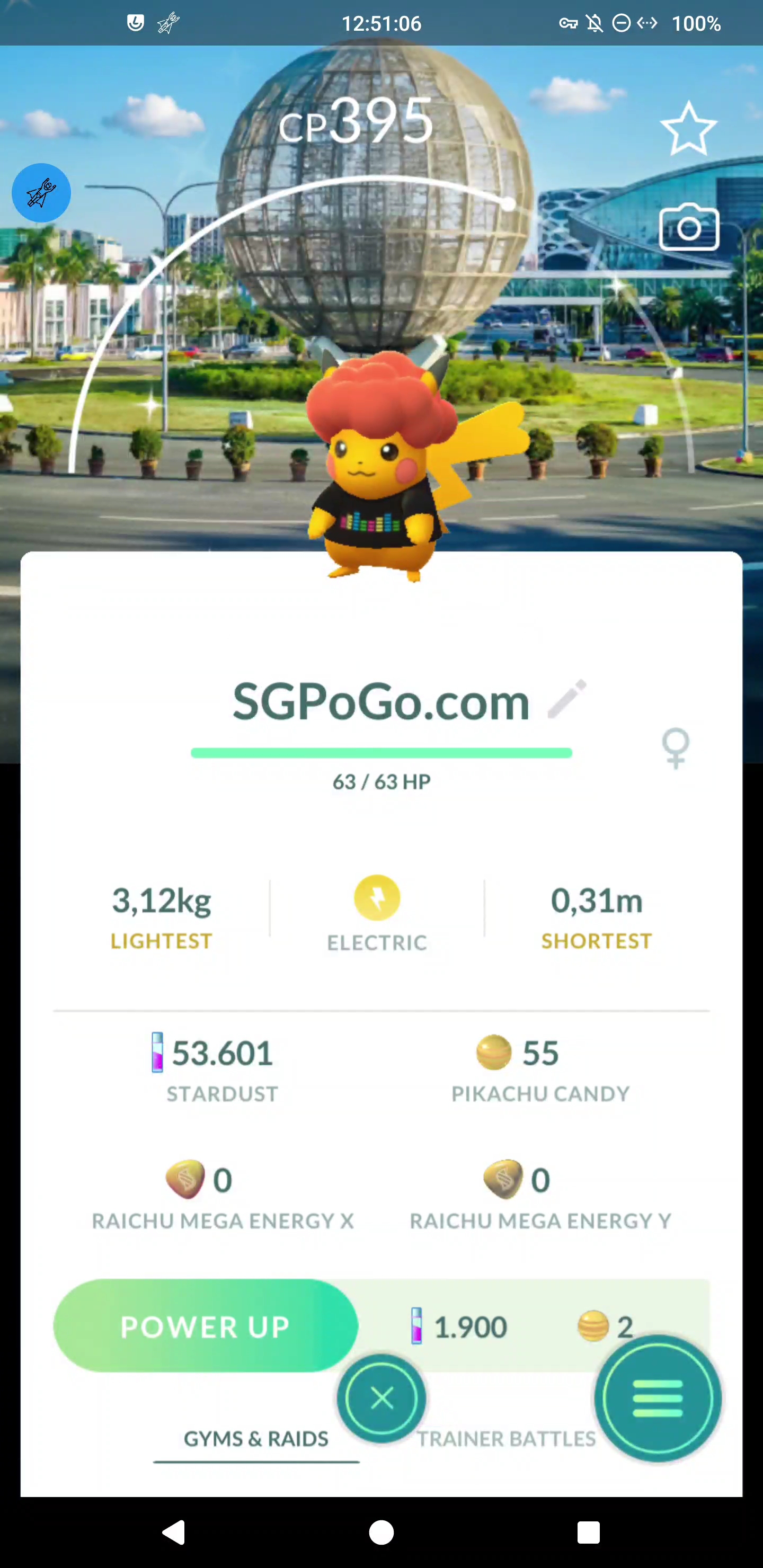 Shiny Pikachu — PokéXciting! Location Background