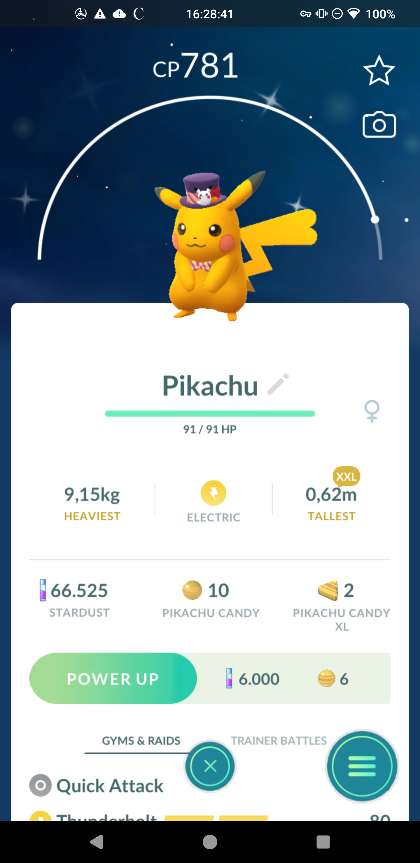Shiny Pikachu Halloween Mischief Size XXL & Level 1✨