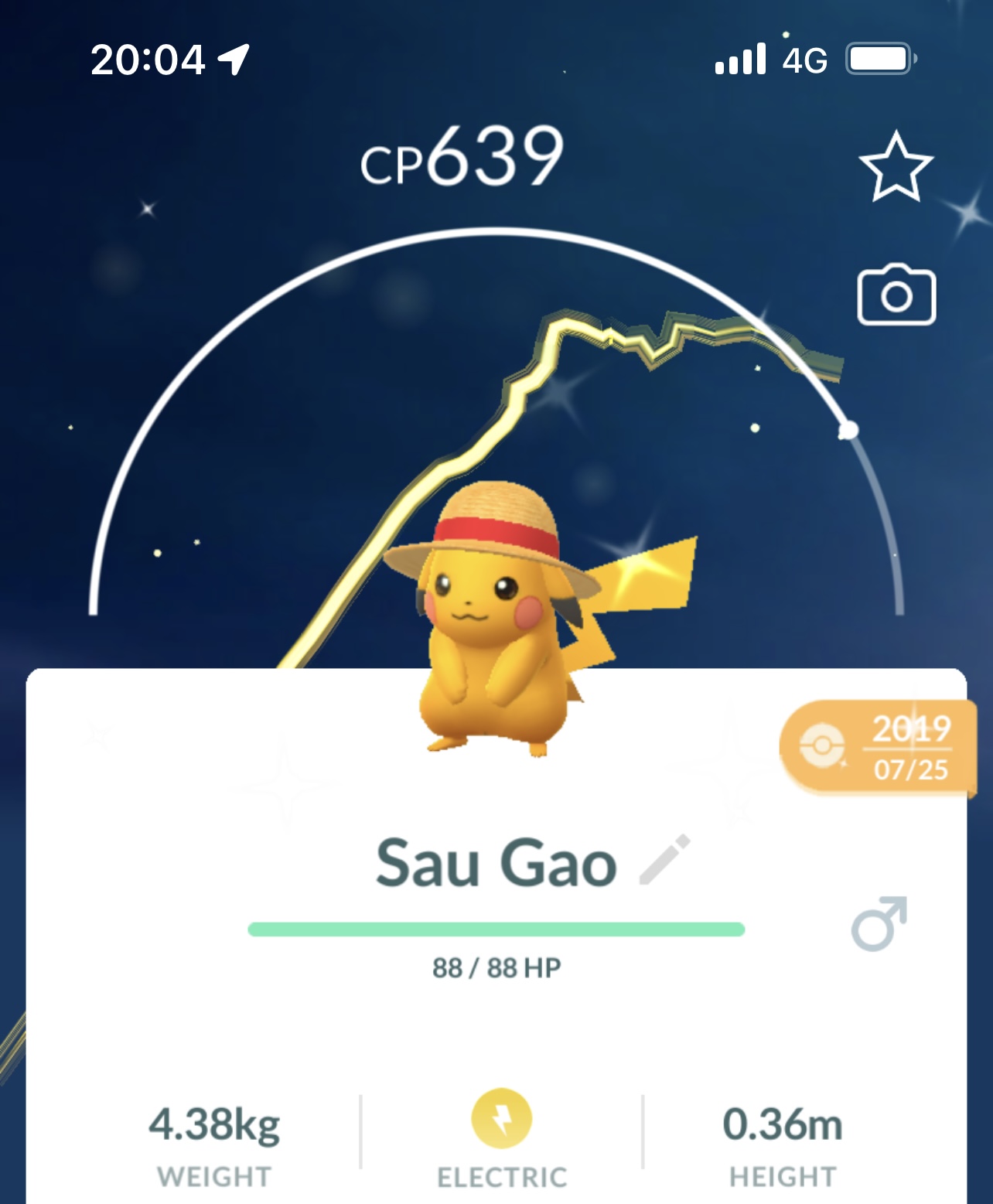 Shiny Pikachu with Straw hat