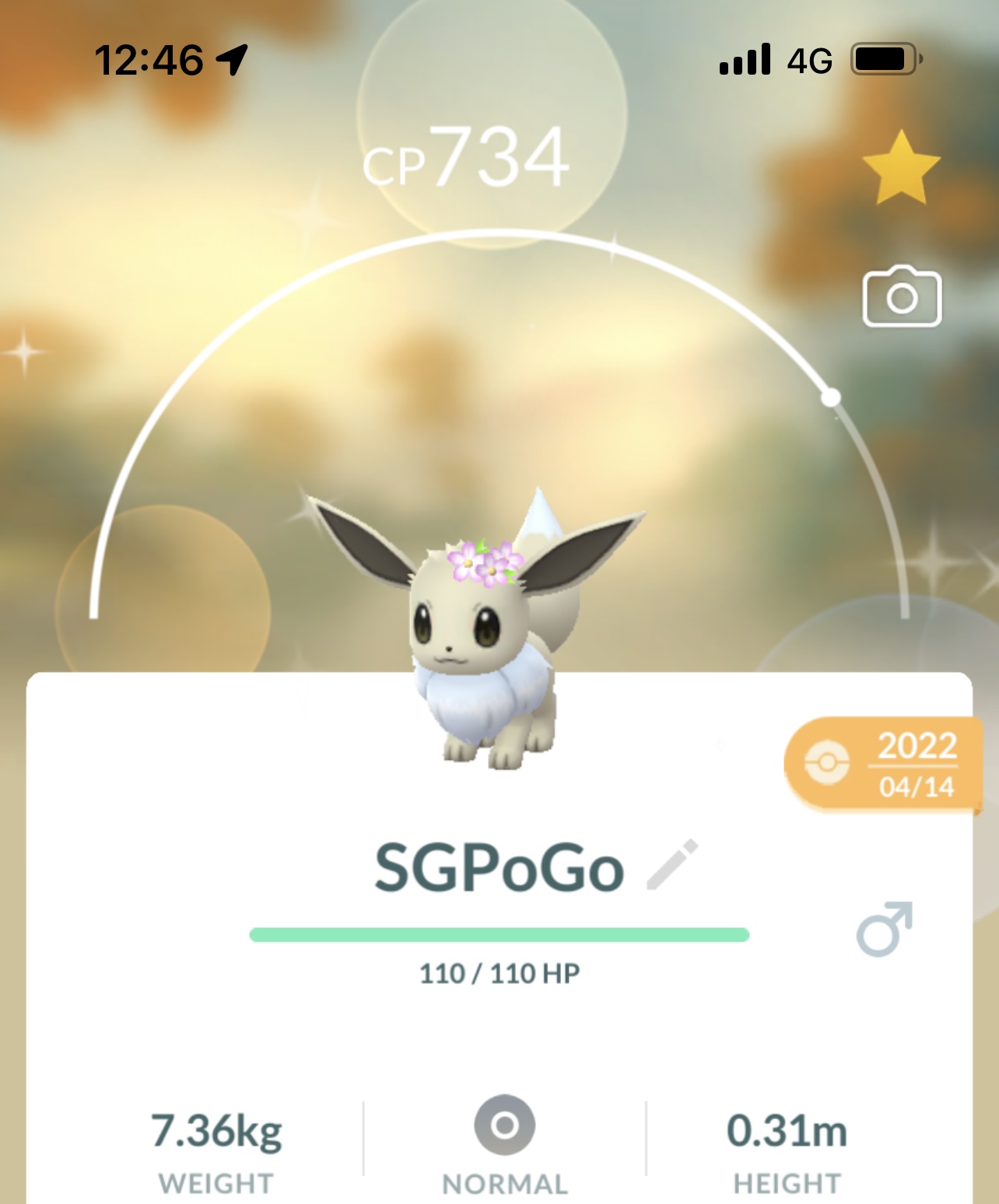Shiny Eevee with Flower Crown
