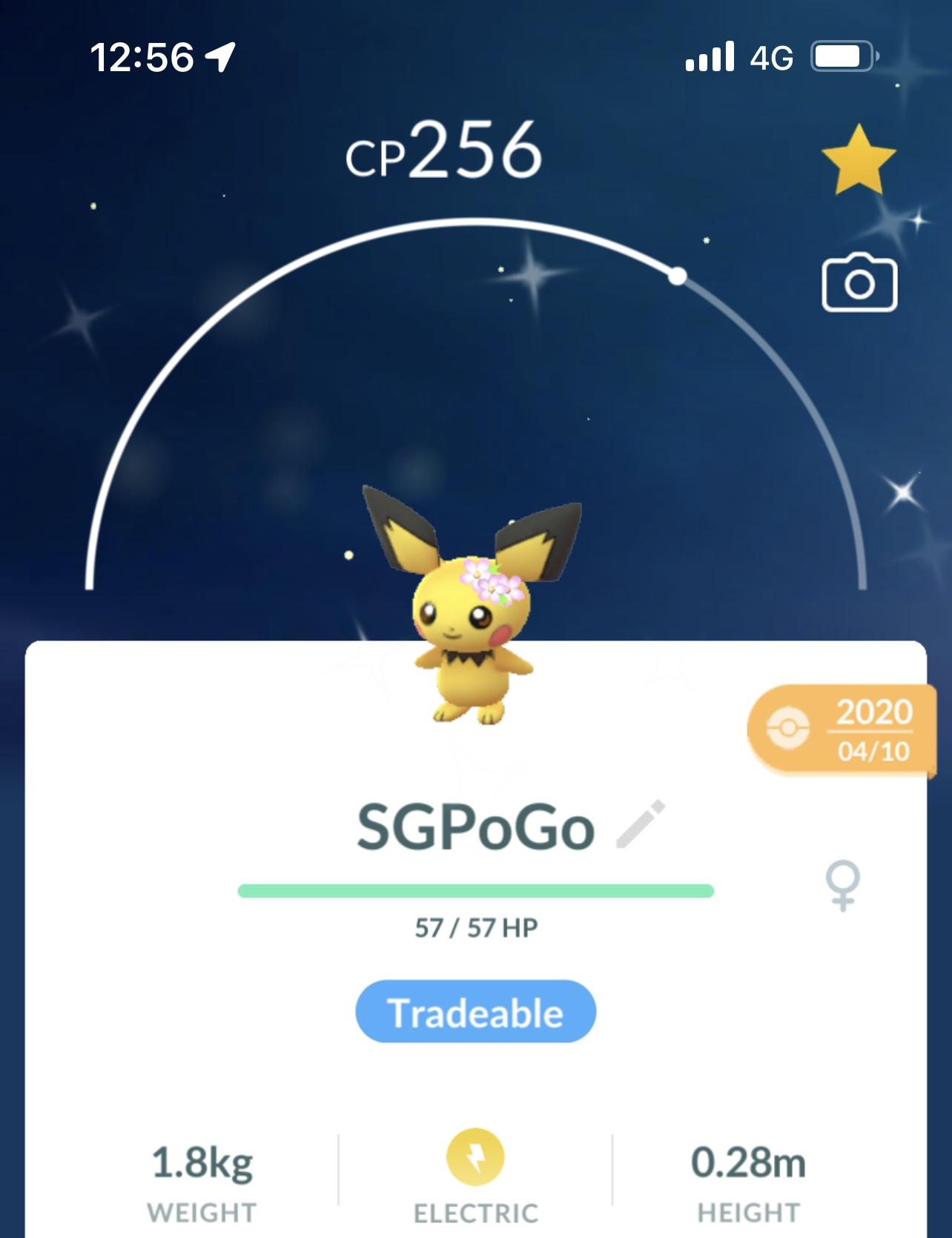Shiny Pichu with Flower Crown