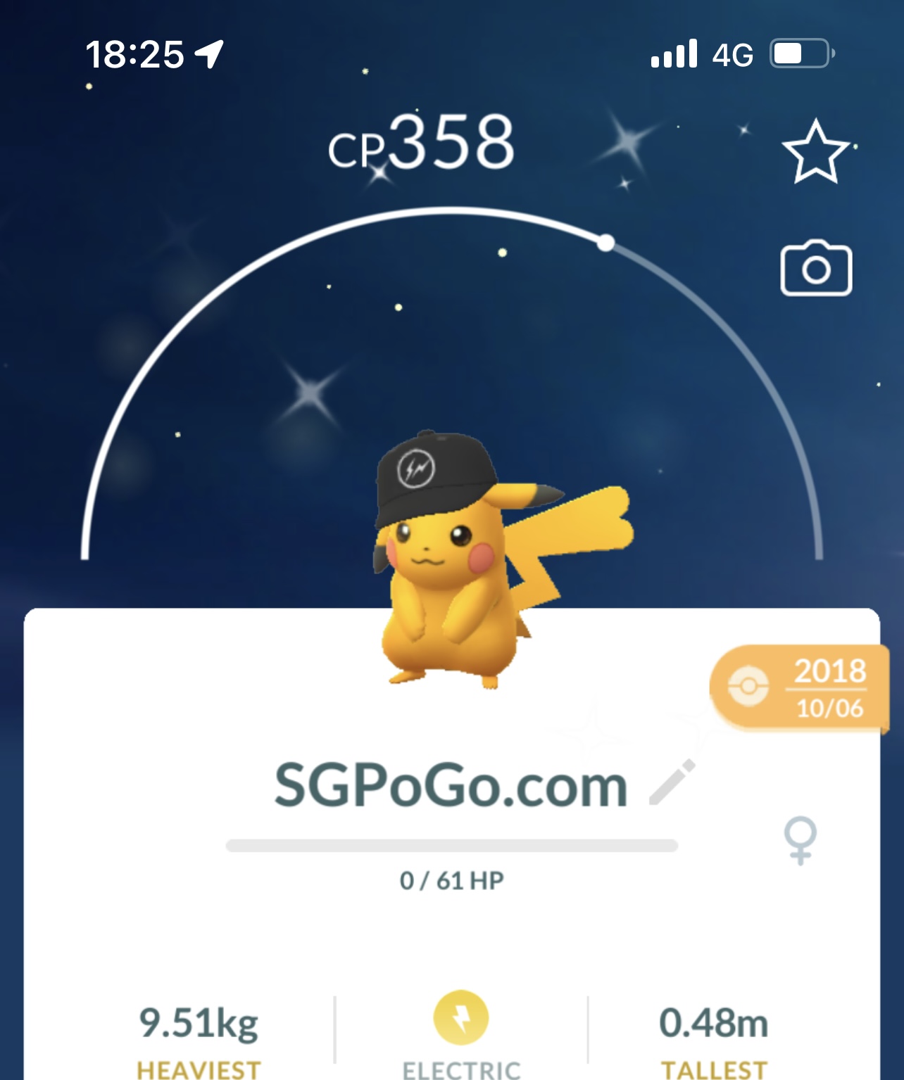 Shiny Fragment Pikachu