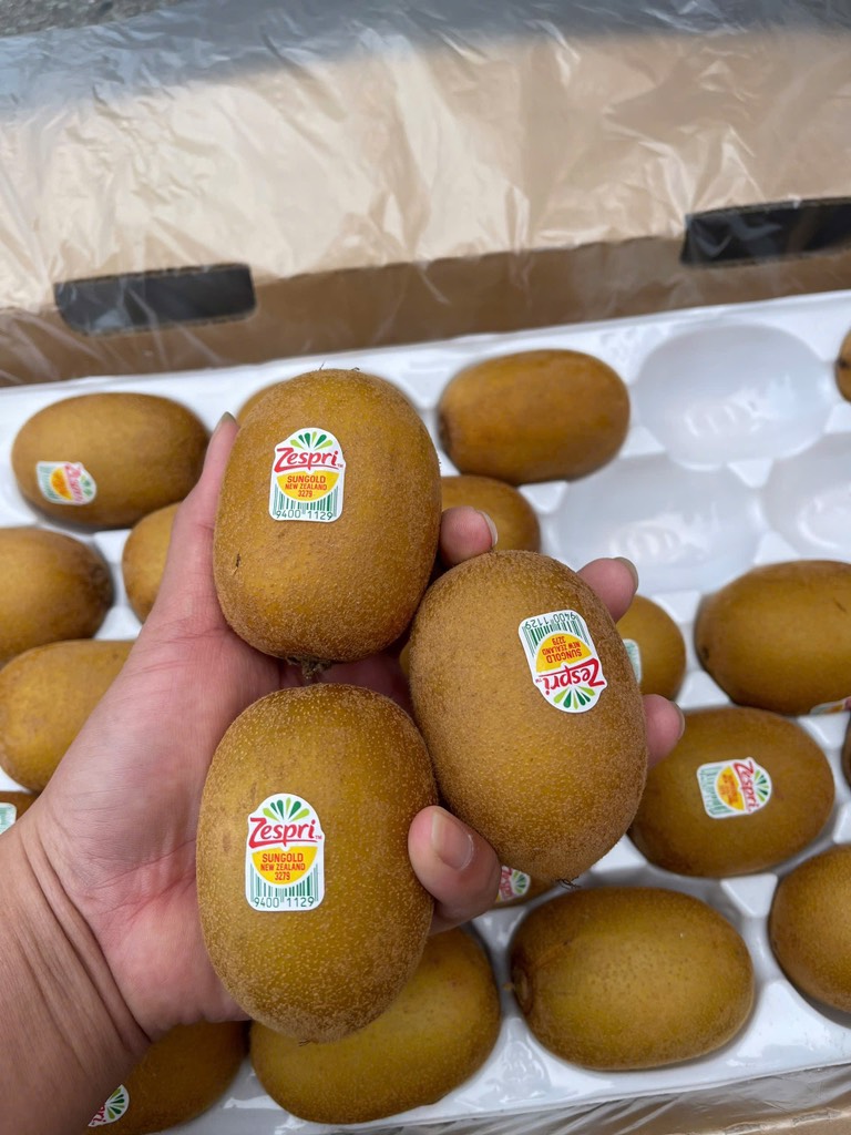 Kiwi vàng New Zealand