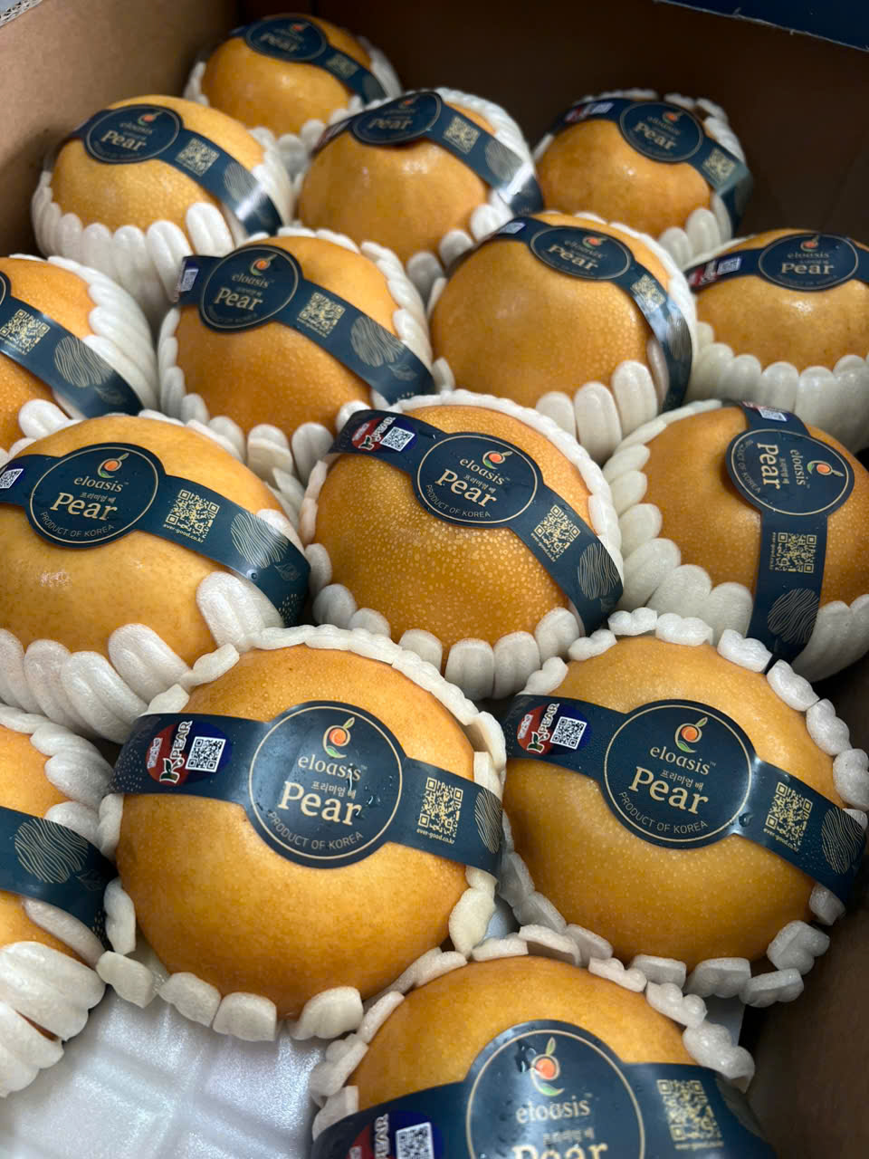 Lê nâu Queen Pears