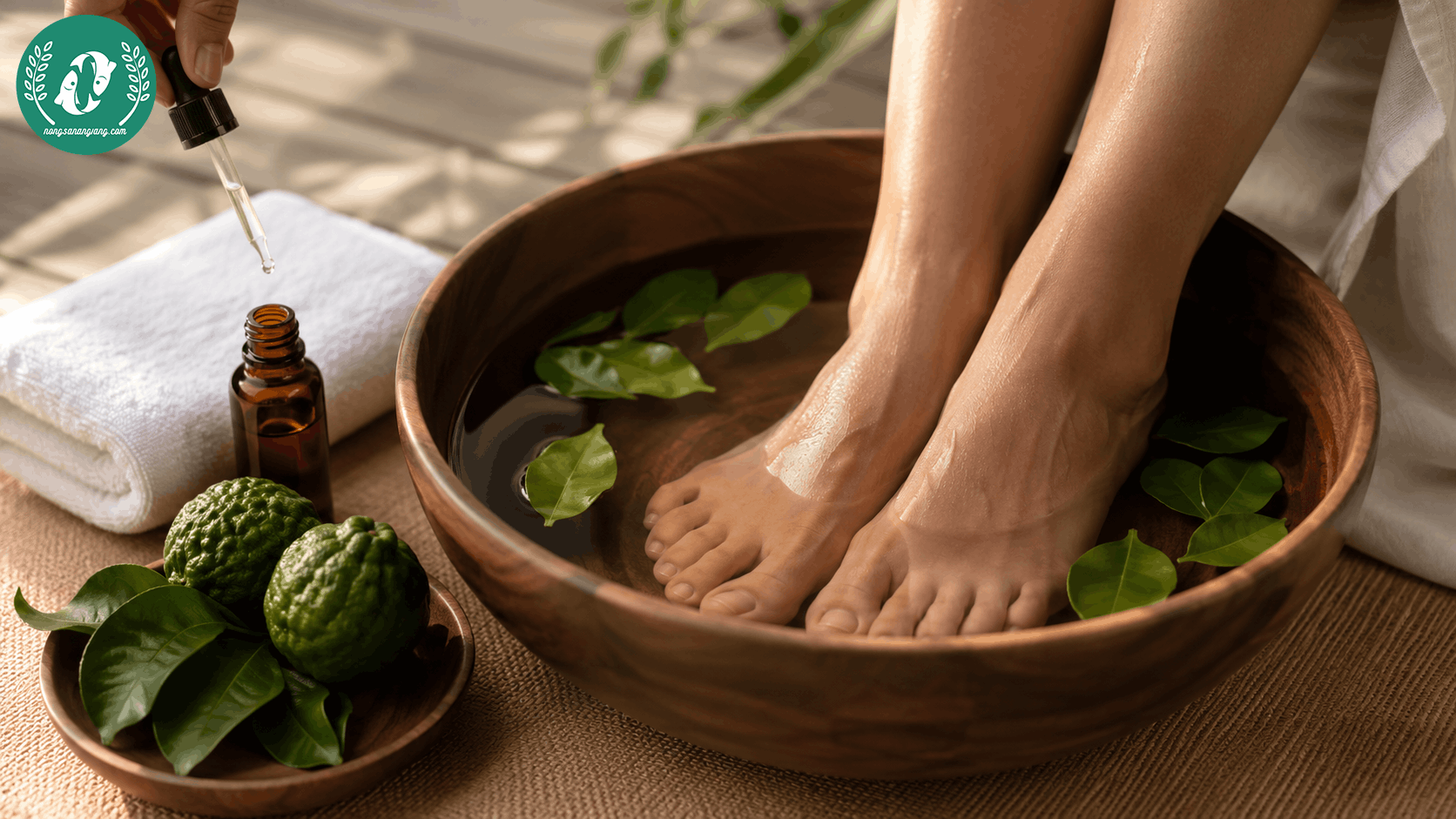 Tinh Dầu Chúc An Giang Nguyên Chất 100% Từ Vùng Thất Sơn