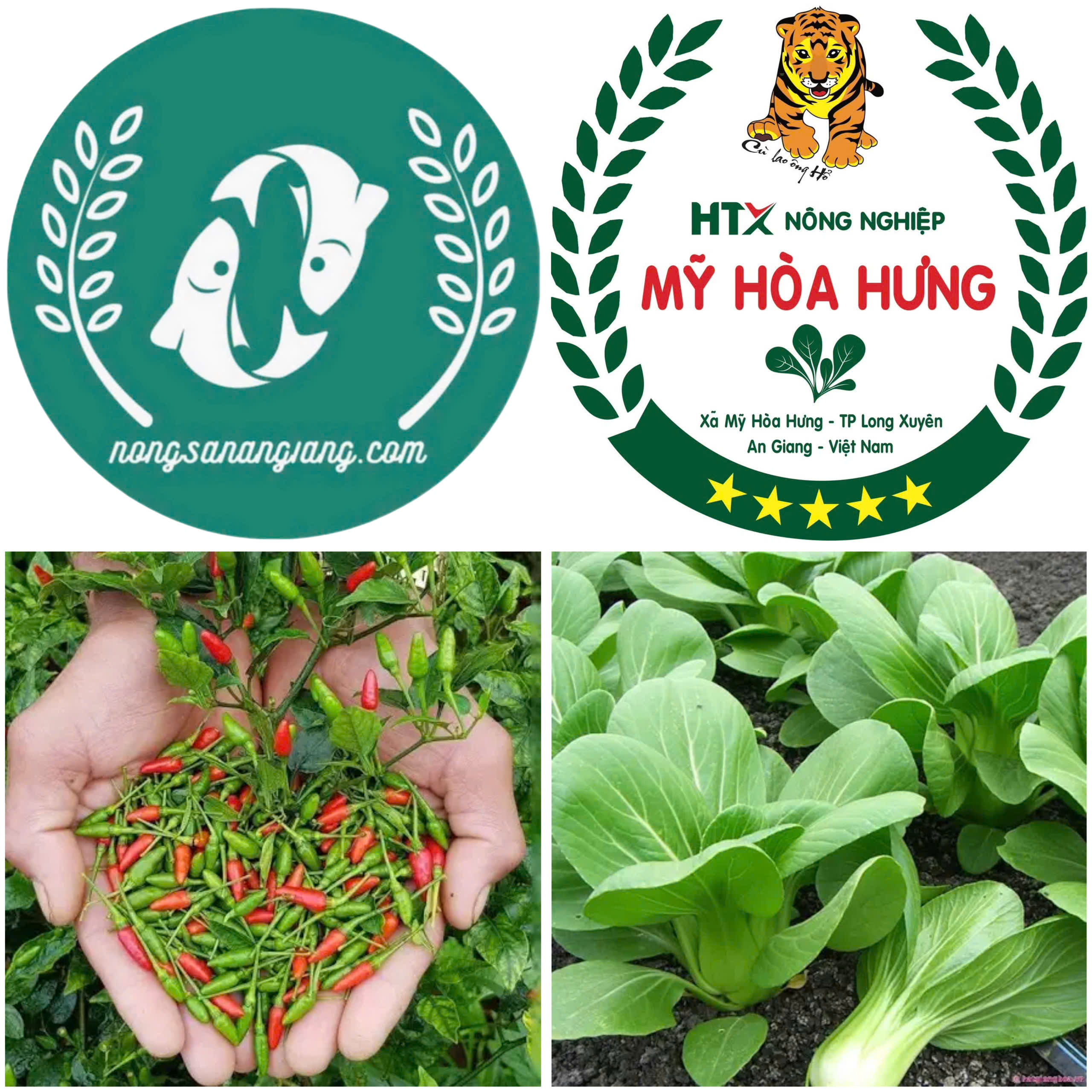 Hỗ trợ bà con nông dân bán hàng