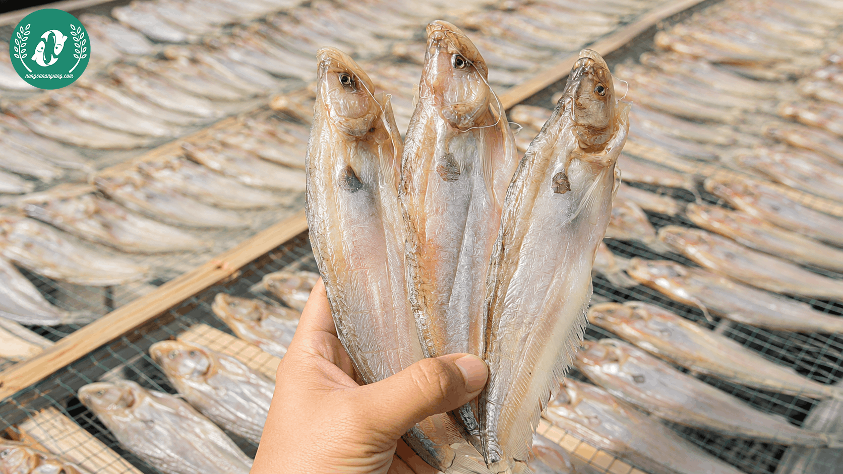 Đặc Sản Miền Tây