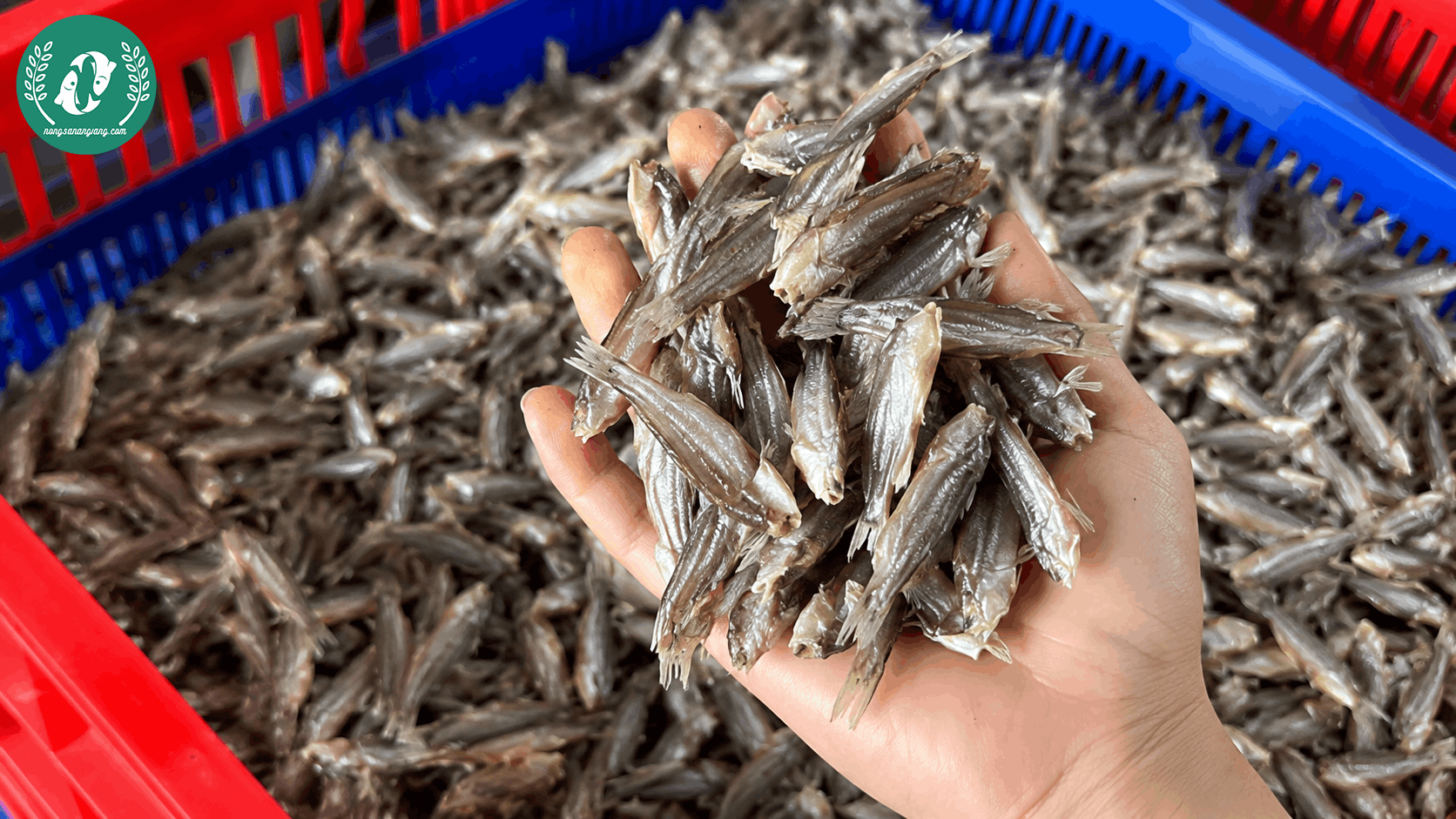 Đặc Sản Miền Tây