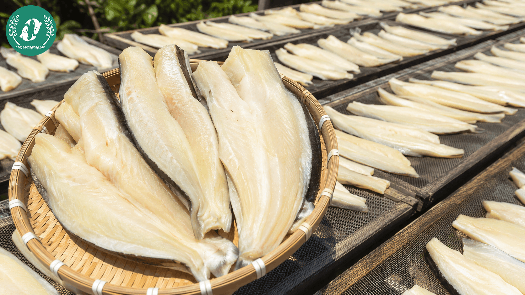 Khô Cá Dứa Thượng Hạng – Dẻo Béo