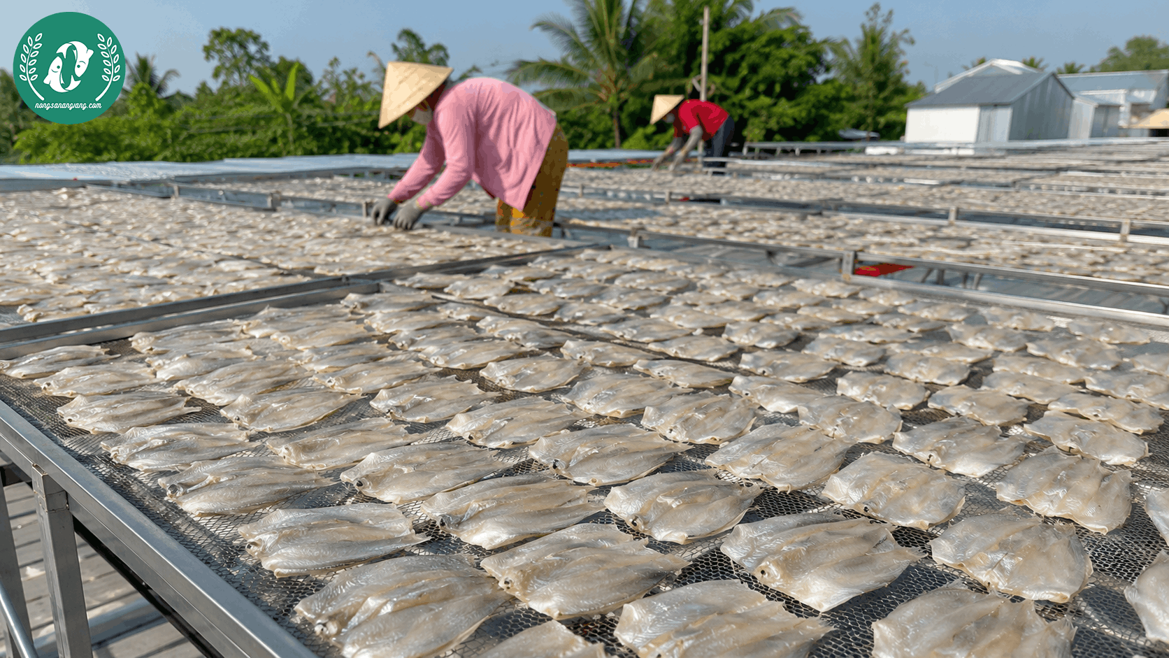 Khô Cá Sặc Đồng