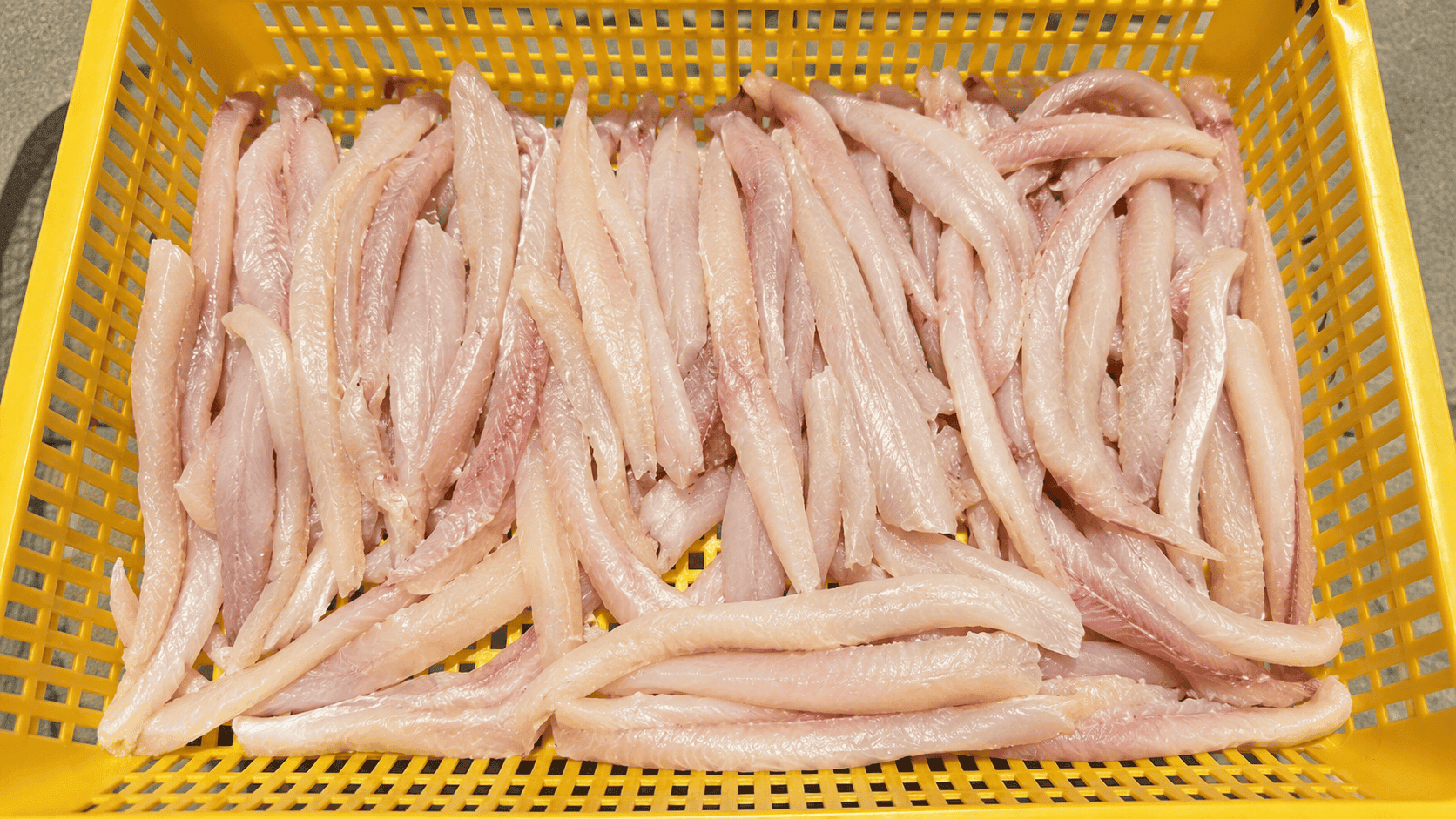 cá lóc một nắng