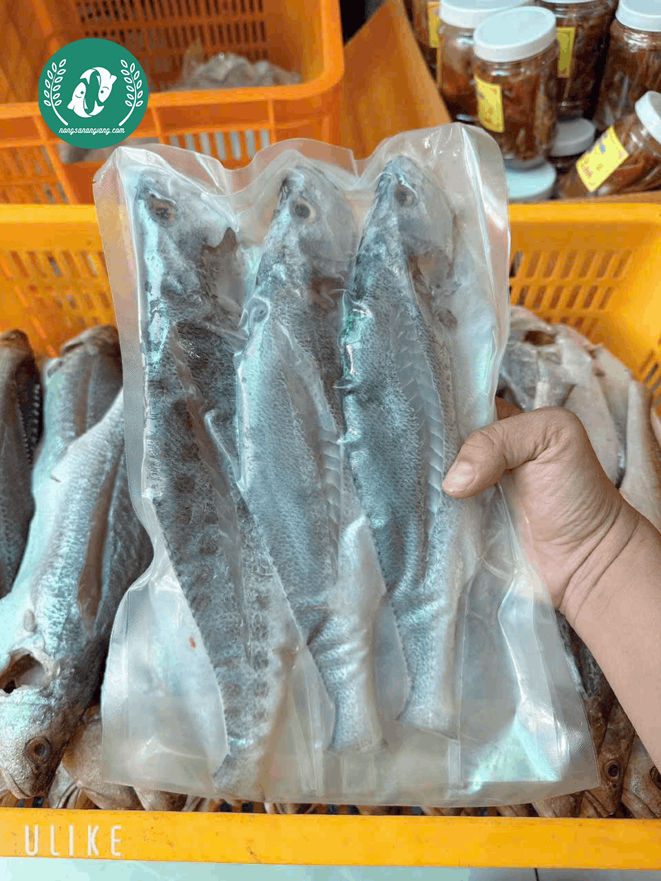 Cá Sửu Khô
