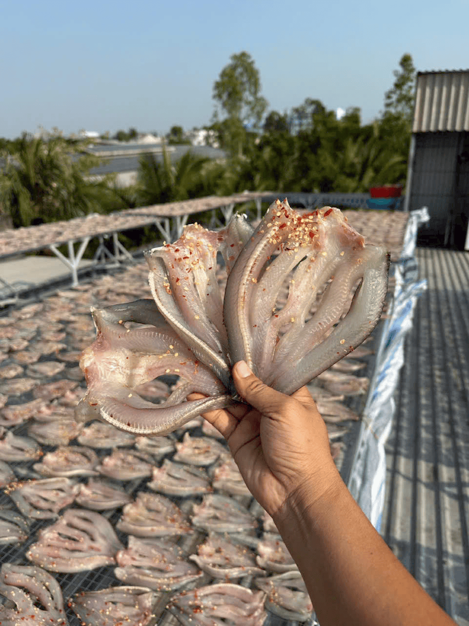khô cá lóc đồng