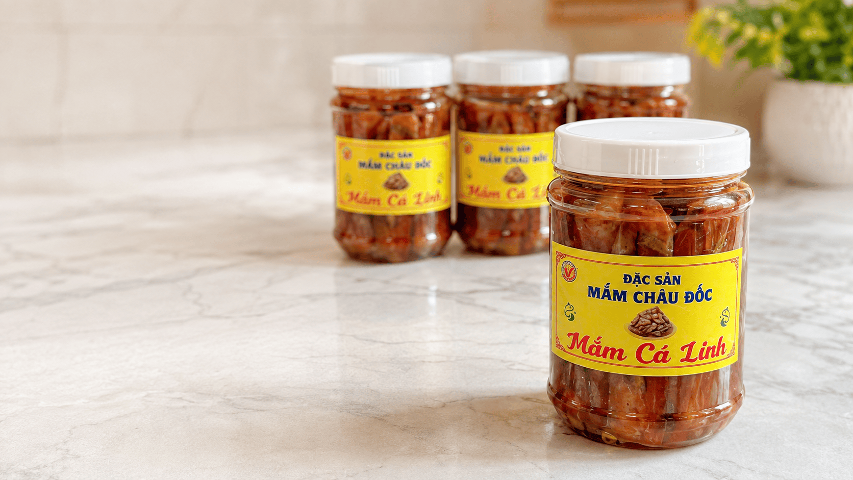 Mắm Cá Linh trên mặt đá sáng