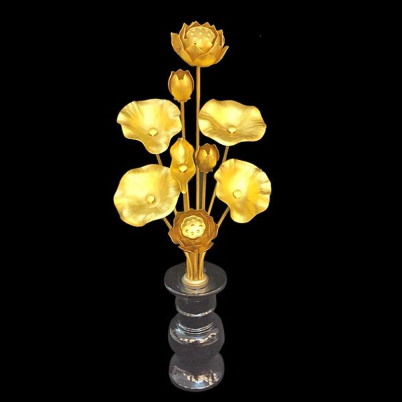 Hoa Sen Đồng - Cửu Diệu Thiên 