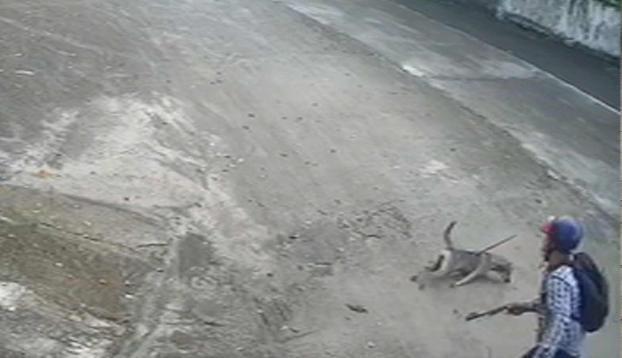 TP.HCM: Xông vào nhà dân chích điện trộm chó