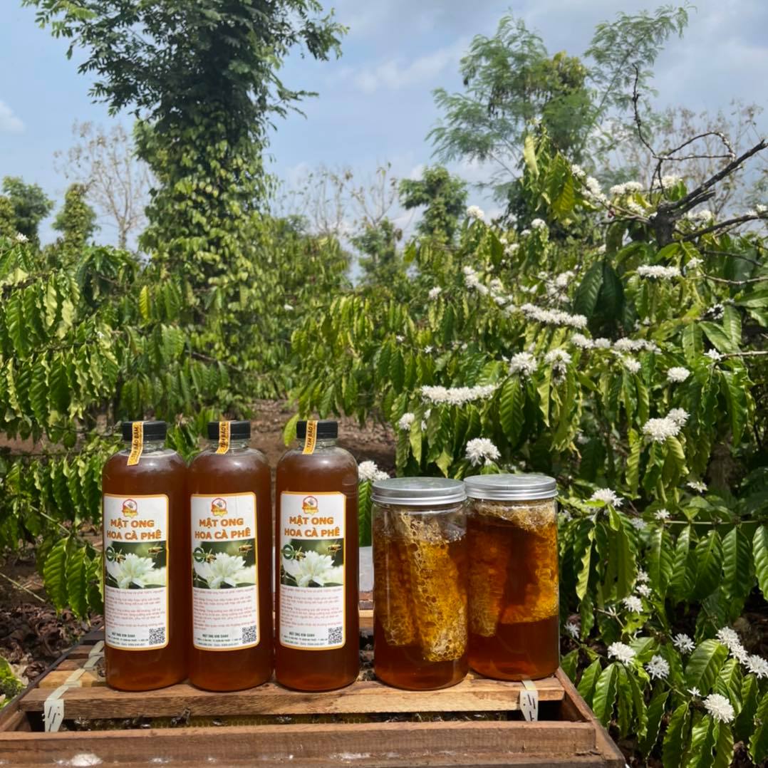 Hà Nội cải tạo biệt thự Pháp