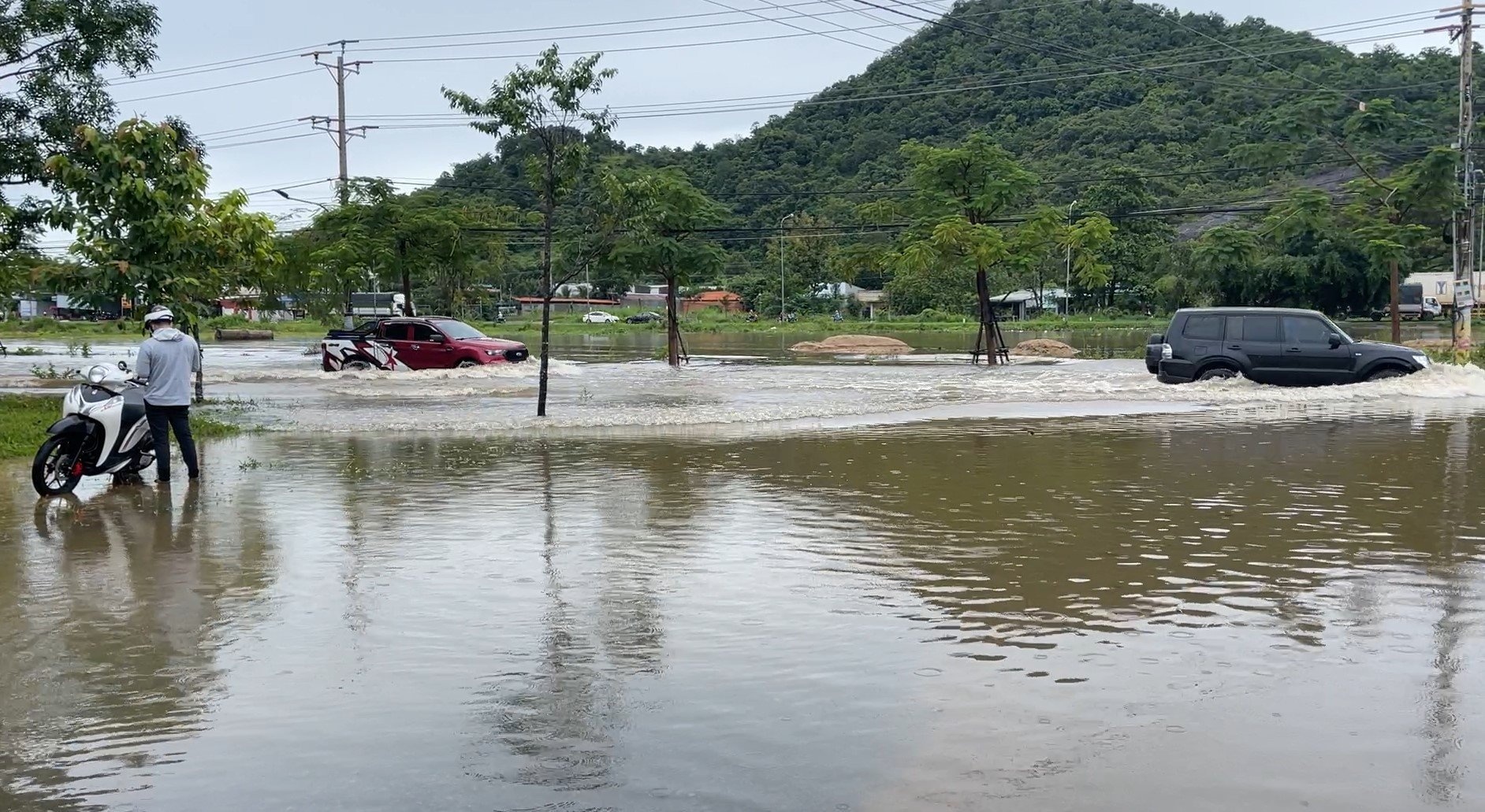 Mưa lớn ở Bình Thuận, hàng trăm héc ta thanh long bị ngập