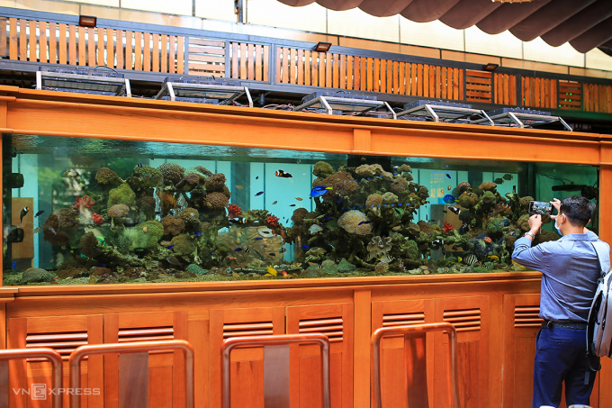 Thú chơi 'đưa đại dương lên cạn'