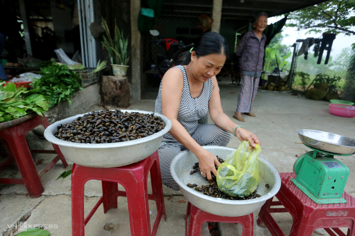 Lội suối bắt ốc đá