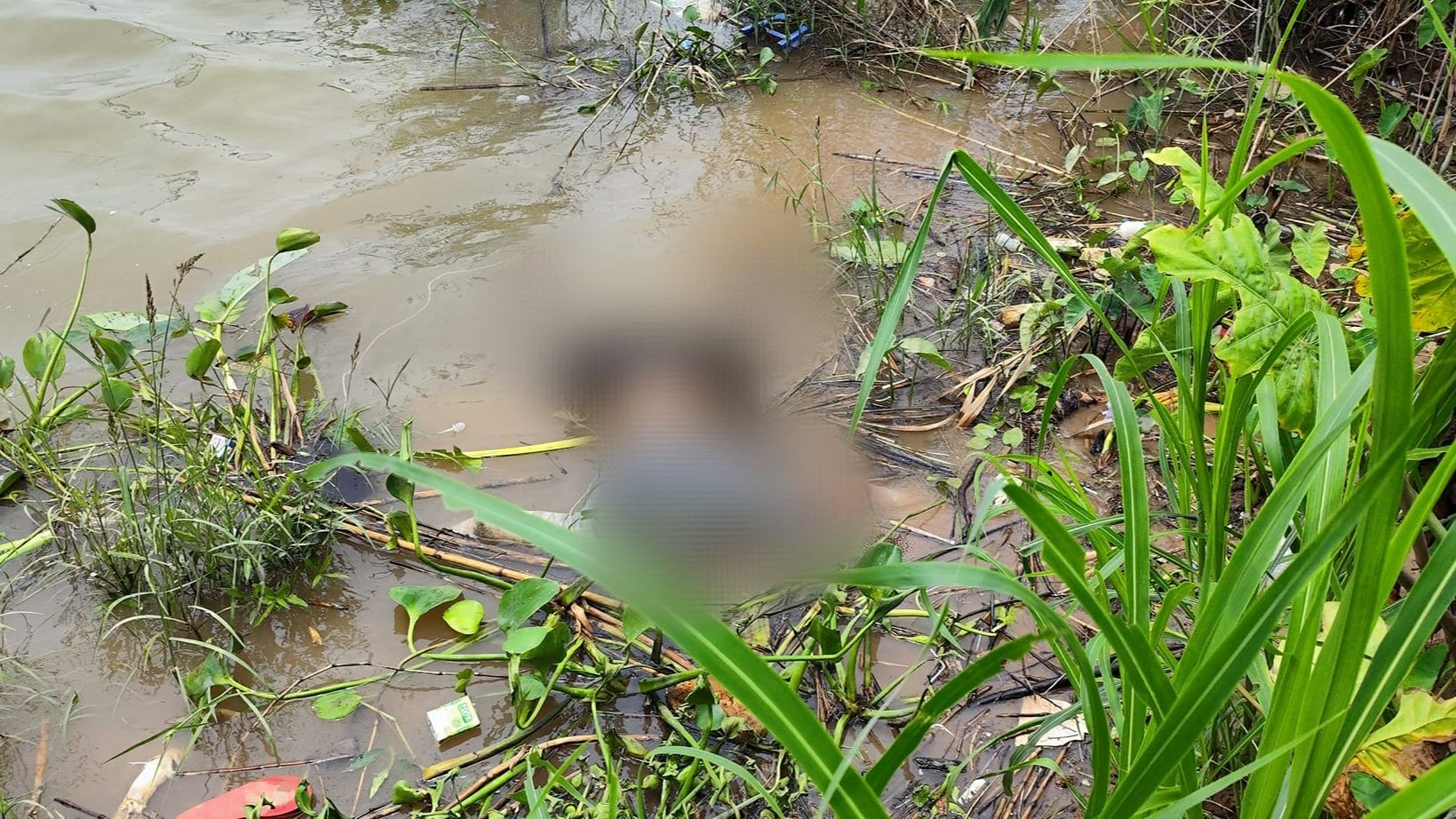 Thái Bình: Phát hiện thi thể bị buộc hai chân trôi trên sông Hồng