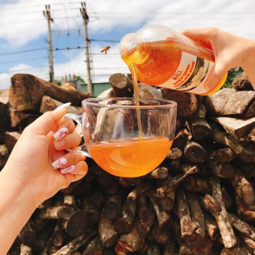 Ôtô buýt tạt đầu xe container