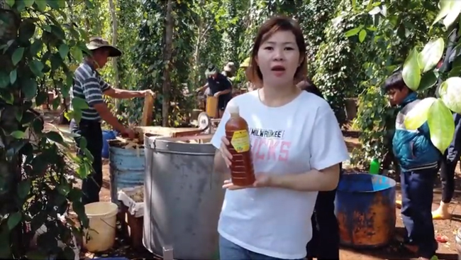 Địa Chỉ Mua Mật Ong Uy Tín Tại Buôn Ma Thuột, Đăk Lak, Đặc Sản Đăk Lak, Đặc Sản Tây Nguyên Kim Oanh