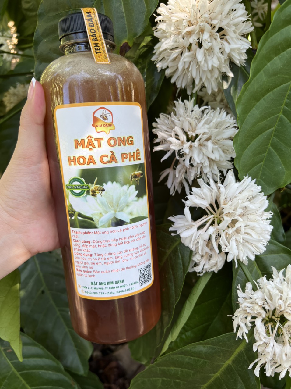 Xe khách “chặt chém” 1 triệu đồng/vé từ Bắc Giang đi Lào Cai là xe dù