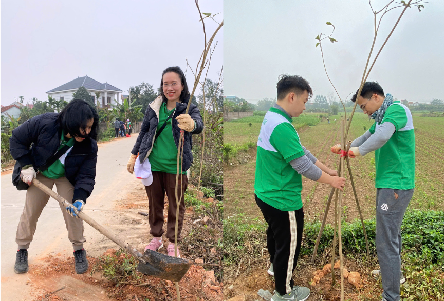 Một ngày với thiên nhiên: DPFLEX tham gia trồng cây xanh tại Mê Linh, Hà Nội