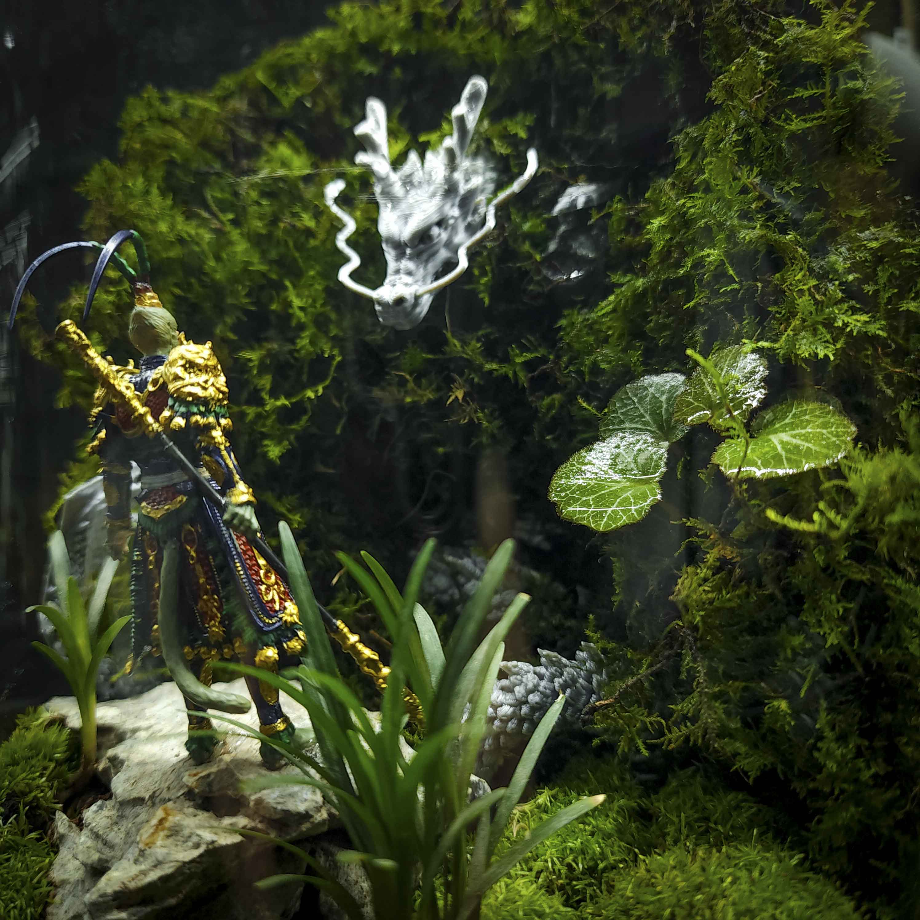 Rêu - thực vật không thể thiếu trong Terrarium