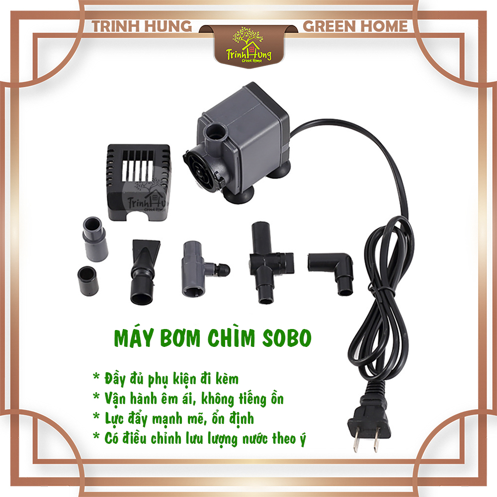 Bơm SOBO