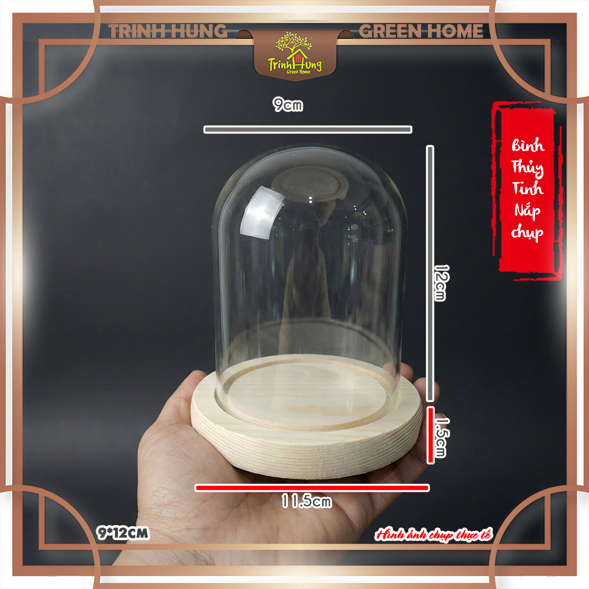 Bình thủy tinh nắp chụp đế gỗ
