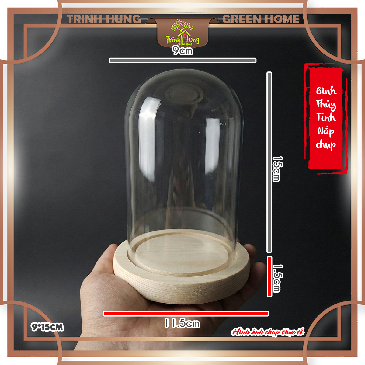 Bình thủy tinh nắp chụp đế gỗ