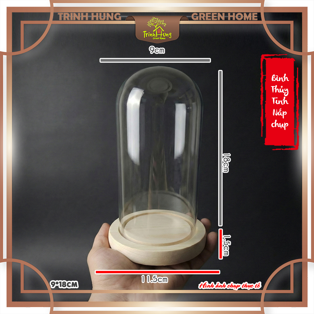 Bình thủy tinh nắp chụp đế gỗ